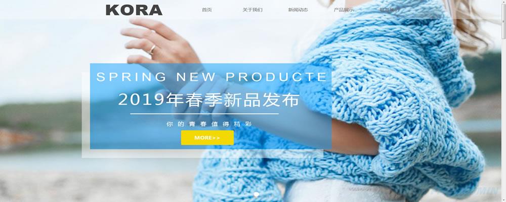 企业网站建设需要哪些技
术